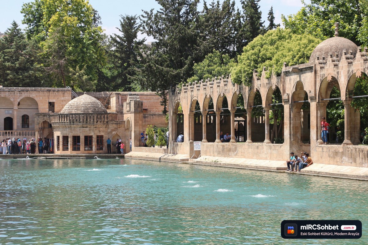 Şanlıurfa Online Sohbet Odalarında Yeni Arkadaşlıklar Keşfedin